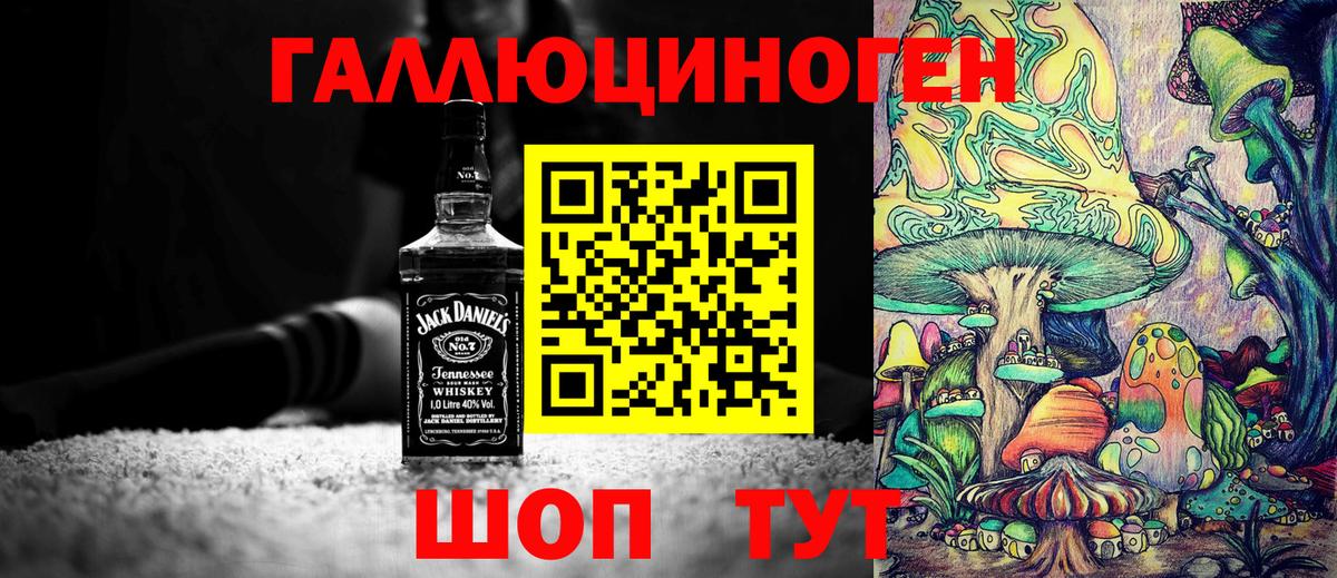 Псилоцибиновые грибы Psilocybine cubensis  закладки  Северск  Вход с VPN  Псилоцибиновые грибы Magic Shrooms 