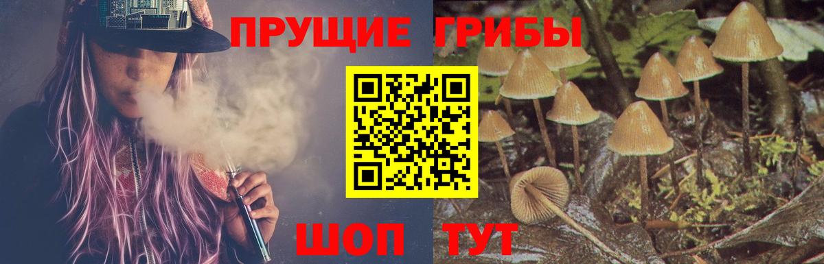 Галлюциногенные грибы прущие грибы Северск